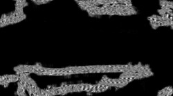 image: image from head abstraction