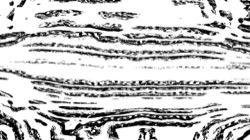 image: image from head abstraction