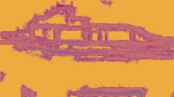 image: image from head abstraction