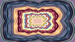 image: image from kaleido 2