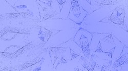 image: image from more msg