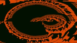 image: image from more msg