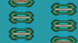 pattern :: corpuscles