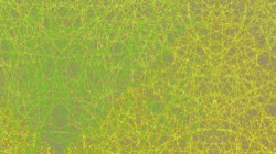 pattern :: randomlines