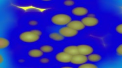 pattern 2 :: corpuscles