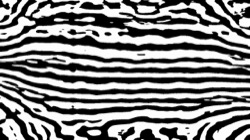 src process :: bwhardcontrast1