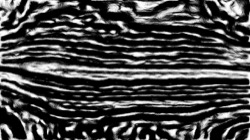 src process :: bwsketchy