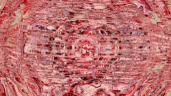 image: image from 3.5.1 new 3