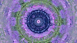 image: image from backing