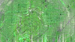 image: image from backing