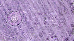 image: image from backing