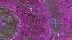 image: image from backing