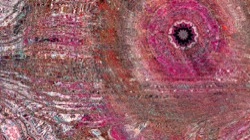 image: image from backing