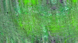 image: image from backing