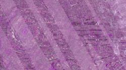 image: image from backing