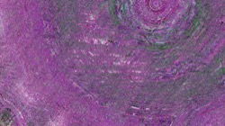 image: image from backing