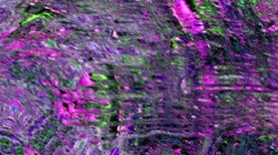 image: image from backing 1