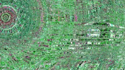 image: image from backing 1