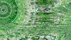 image: image from backing 1