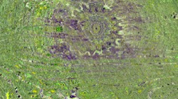 image: image from backing 1