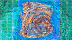 image: image from boxed