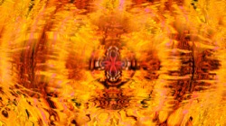 image: image from burnish