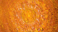 image: image from burnish