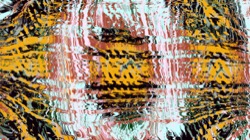 image: image from circular