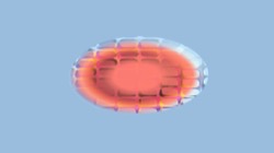 image: image from circular