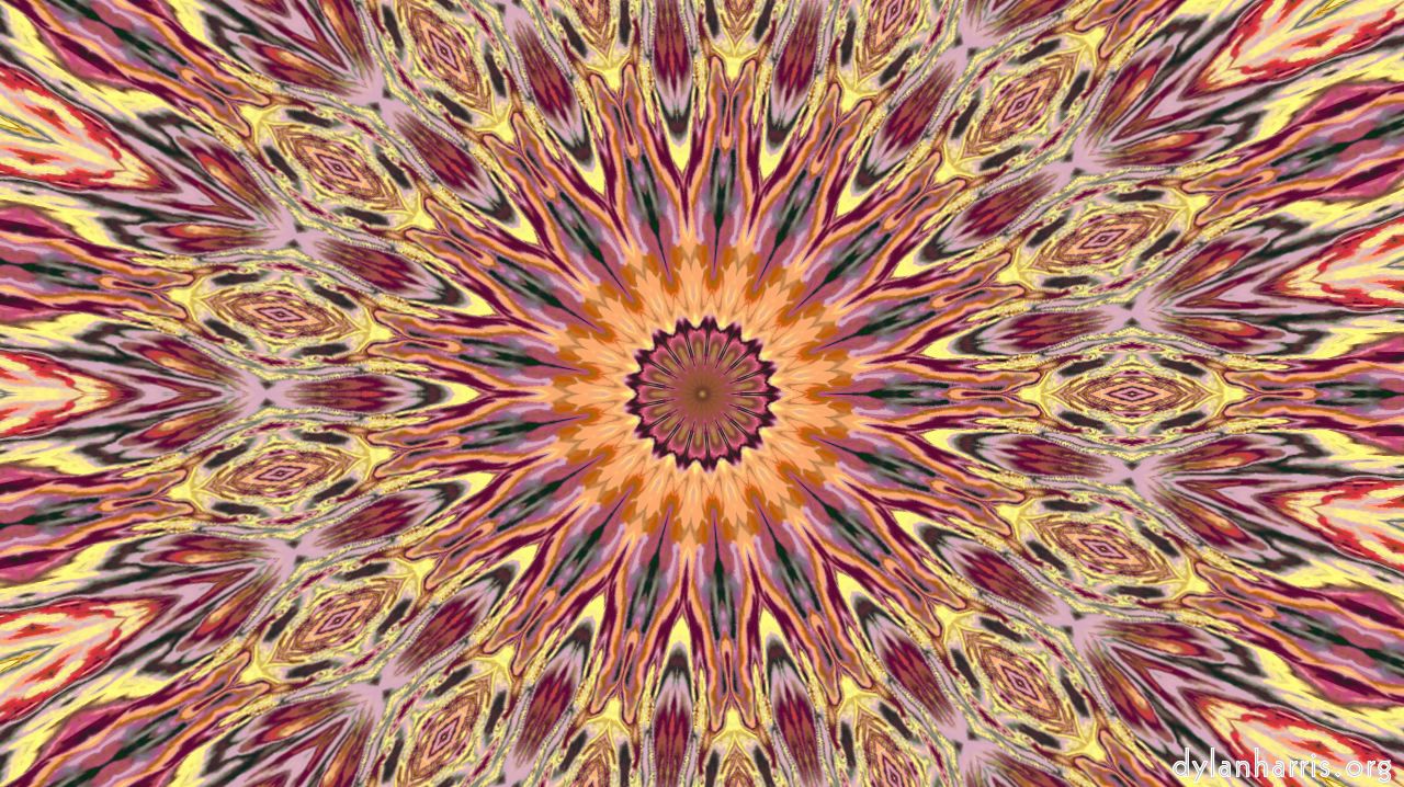 image: cirsym :: sym3