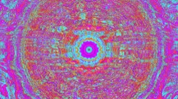 image: image from cirsym