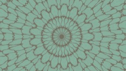 image: image from cirsym