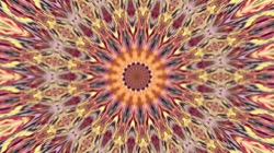 image: image from cirsym