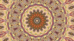 image: image from cirsym