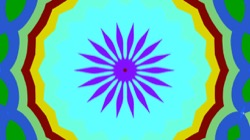 image: image from cirsym