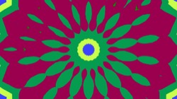 image: image from cirsym