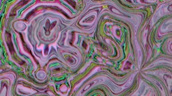 image: image from d1