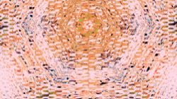 image: image from d1