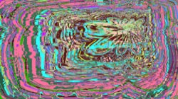 image: image from d new