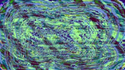 image: image from d new