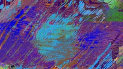 image: image from d new