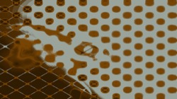 image: image from grid