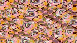 image: image from grid