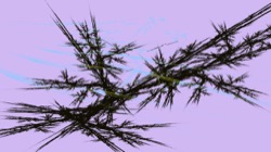 image: image from ifs proc