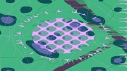 image: image from mod