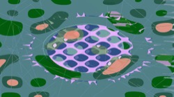 image: image from mod