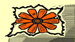 image: image from motif boxes