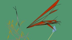 image: image from msg to test