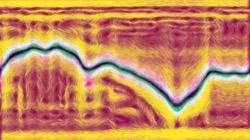 image: image from msg to test