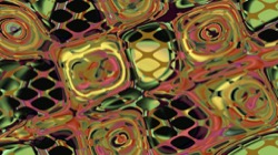 image: image from new f